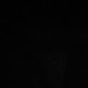 Meet your Posher, Janice